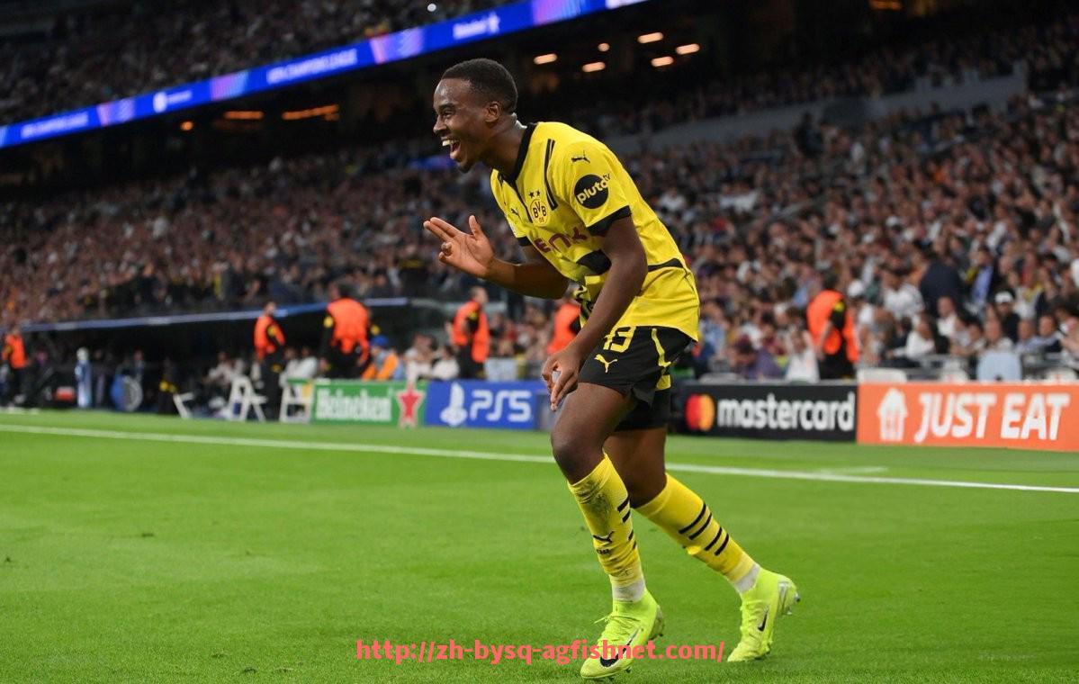 AG捕鱼王官网-展望2024-2025赛季法甲联赛:各支球队能否打破巴黎垄断?