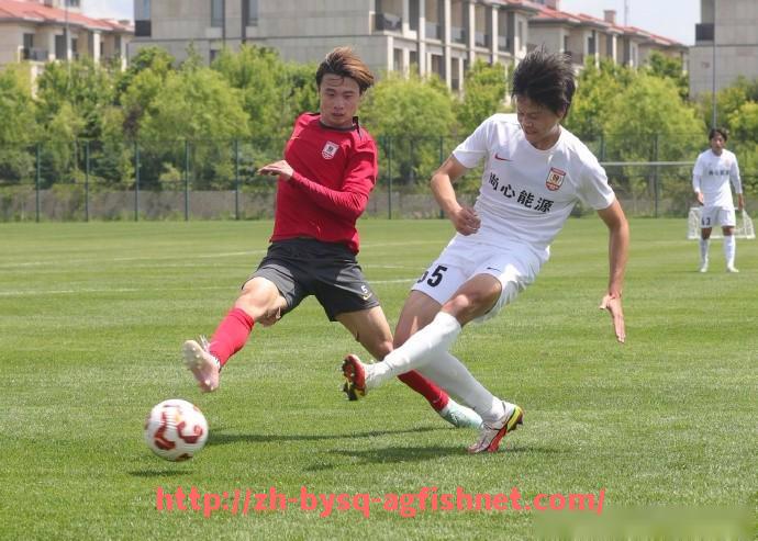 AG捕鱼王官网-法甲球队表现综合分析：战术创新与队员发挥的双重视角