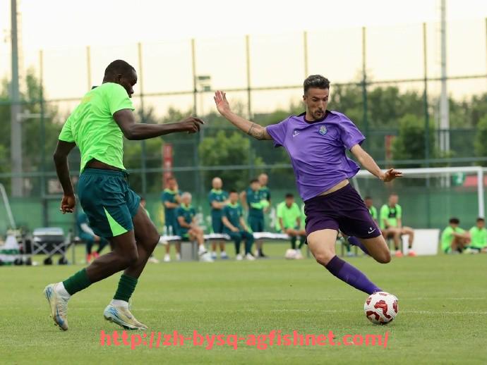 AG捕鱼王官网-世俱杯比赛用球介绍，科技与传统工艺的完美结合